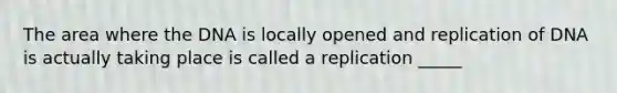 The area where the DNA is locally opened and replication of DNA is actually taking place is called a replication _____