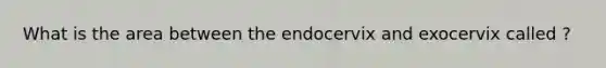 What is the area between the endocervix and exocervix called ?