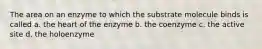 The area on an enzyme to which the substrate molecule binds is called a. the heart of the enzyme b. the coenzyme c. the active site d. the holoenzyme