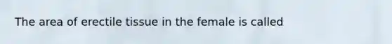 The area of erectile tissue in the female is called