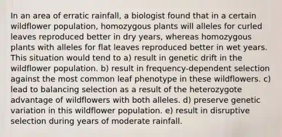 In an area of erratic rainfall, a biologist found that in a certain wildflower population, homozygous plants will alleles for curled leaves reproduced better in dry years, whereas homozygous plants with alleles for flat leaves reproduced better in wet years. This situation would tend to a) result in genetic drift in the wildflower population. b) result in frequency-dependent selection against the most common leaf phenotype in these wildflowers. c) lead to balancing selection as a result of the heterozygote advantage of wildflowers with both alleles. d) preserve genetic variation in this wildflower population. e) result in disruptive selection during years of moderate rainfall.