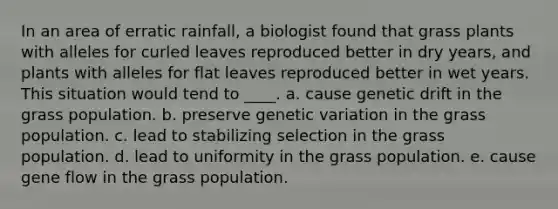 In an area of erratic rainfall, a biologist found that grass plants with alleles for curled leaves reproduced better in dry years, and plants with alleles for flat leaves reproduced better in wet years. This situation would tend to ____. a. cause genetic drift in the grass population. b. preserve genetic variation in the grass population. c. lead to stabilizing selection in the grass population. d. lead to uniformity in the grass population. e. cause gene flow in the grass population.