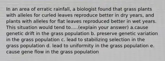 In an area of erratic rainfall, a biologist found that grass plants with alleles for curled leaves reproduce better in dry years, and plants with alleles for flat leaves reproduced better in wet years. This situation would tend to.....(explain your answer) a.cause genetic drift in the grass population b. preserve genetic variation in the grass population c. lead to stabilizing selection in the grass population d. lead to uniformity in the grass population e. cause gene flow in the grass population