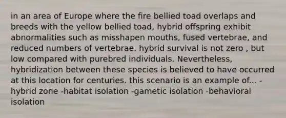 in an area of Europe where the fire bellied toad overlaps and breeds with the yellow bellied toad, hybrid offspring exhibit abnormalities such as misshapen mouths, fused vertebrae, and reduced numbers of vertebrae. hybrid survival is not zero , but low compared with purebred individuals. Nevertheless, hybridization between these species is believed to have occurred at this location for centuries. this scenario is an example of... -hybrid zone -habitat isolation -gametic isolation -behavioral isolation