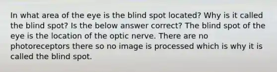 In what area of the eye is the blind spot located? Why is it called the blind spot? Is the below answer correct? The blind spot of the eye is the location of the optic nerve. There are no photoreceptors there so no image is processed which is why it is called the blind spot.