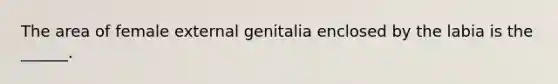 The area of female external genitalia enclosed by the labia is the ______.