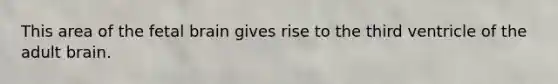 This area of the fetal brain gives rise to the third ventricle of the adult brain.