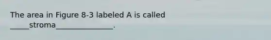 The area in Figure 8-3 labeled A is called _____stroma_______________.