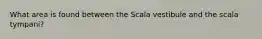 What area is found between the Scala vestibule and the scala tympani?