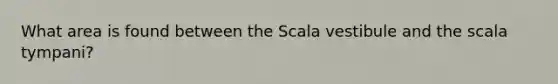 What area is found between the Scala vestibule and the scala tympani?