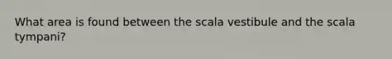 What area is found between the scala vestibule and the scala tympani?