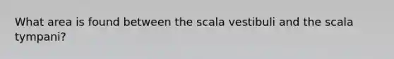 What area is found between the scala vestibuli and the scala tympani?