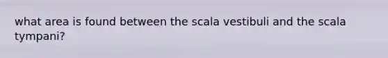 what area is found between the scala vestibuli and the scala tympani?