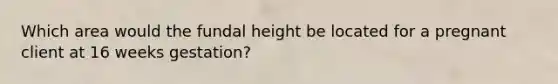 Which area would the fundal height be located for a pregnant client at 16 weeks gestation?