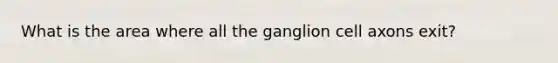 What is the area where all the ganglion cell axons exit?