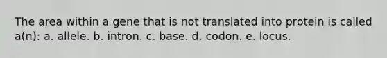 The area within a gene that is not translated into protein is called a(n): a. allele. b. intron. c. base. d. codon. e. locus.