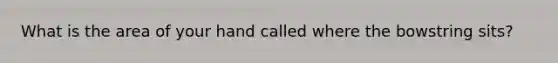 What is the area of your hand called where the bowstring sits?