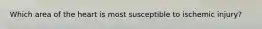 Which area of the heart is most susceptible to ischemic injury?
