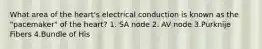 What area of the heart's electrical conduction is known as the "pacemaker" of the heart? 1. SA node 2. AV node 3.Purknije Fibers 4.Bundle of His