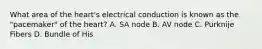 What area of the heart's electrical conduction is known as the "pacemaker" of the heart? A. SA node B. AV node C. Purknije Fibers D. Bundle of His