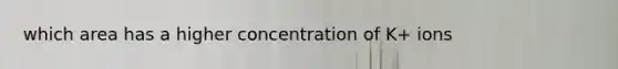 which area has a higher concentration of K+ ions