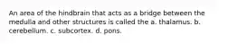 An area of the hindbrain that acts as a bridge between the medulla and other structures is called the a. thalamus. b. cerebellum. c. subcortex. d. pons.