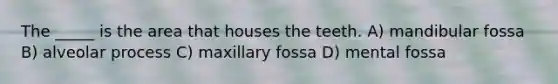The _____ is the area that houses the teeth. A) mandibular fossa B) alveolar process C) maxillary fossa D) mental fossa