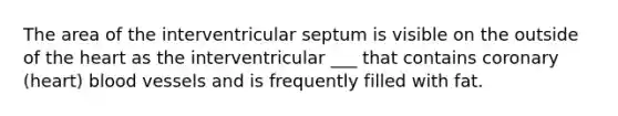 The area of the interventricular septum is visible on the outside of the heart as the interventricular ___ that contains coronary (heart) blood vessels and is frequently filled with fat.