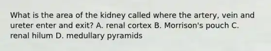 What is the area of the kidney called where the artery, vein and ureter enter and exit? A. renal cortex B. Morrison's pouch C. renal hilum D. medullary pyramids