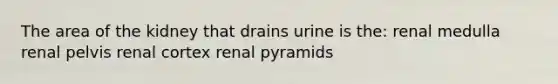 The area of the kidney that drains urine is the: renal medulla renal pelvis renal cortex renal pyramids