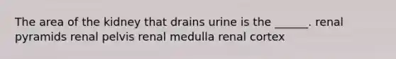 The area of the kidney that drains urine is the ______. renal pyramids renal pelvis renal medulla renal cortex