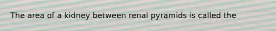 The area of a kidney between renal pyramids is called the