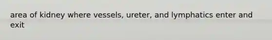 area of kidney where vessels, ureter, and lymphatics enter and exit
