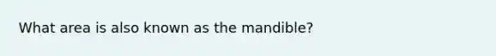 What area is also known as the mandible?