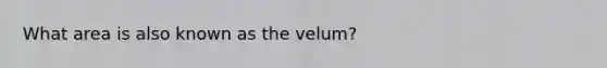 What area is also known as the velum?