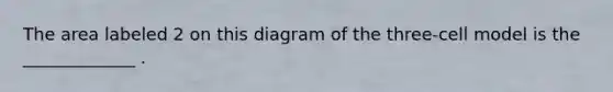 The area labeled 2 on this diagram of the three-cell model is the _____________ .