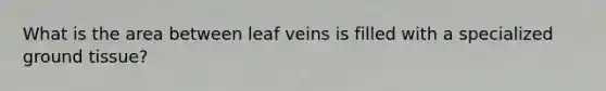 What is the area between leaf veins is filled with a specialized ground tissue?