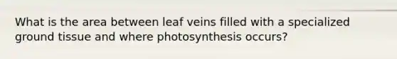 What is the area between leaf veins filled with a specialized ground tissue and where photosynthesis occurs?