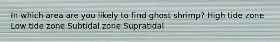 In which area are you likely to find ghost shrimp? High tide zone Low tide zone Subtidal zone Supratidal