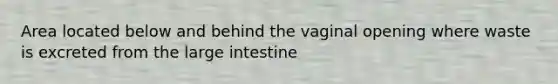 Area located below and behind the vaginal opening where waste is excreted from the large intestine