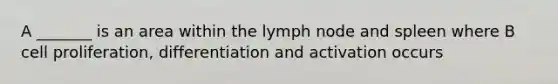 A _______ is an area within the lymph node and spleen where B cell proliferation, differentiation and activation occurs