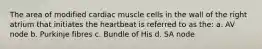 The area of modified cardiac muscle cells in the wall of the right atrium that initiates the heartbeat is referred to as the: a. AV node b. Purkinje fibres c. Bundle of His d. SA node