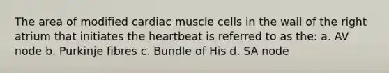 The area of modified cardiac muscle cells in the wall of the right atrium that initiates <a href='https://www.questionai.com/knowledge/kya8ocqc6o-the-heart' class='anchor-knowledge'>the heart</a>beat is referred to as the: a. AV node b. Purkinje fibres c. Bundle of His d. SA node