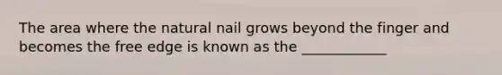 The area where the natural nail grows beyond the finger and becomes the free edge is known as the ____________