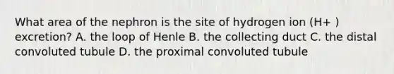 What area of the nephron is the site of hydrogen ion (H+ ) excretion? A. the loop of Henle B. the collecting duct C. the distal convoluted tubule D. the proximal convoluted tubule