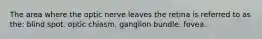 The area where the optic nerve leaves the retina is referred to as the: blind spot. optic chiasm. ganglion bundle. fovea.