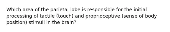 Which area of the parietal lobe is responsible for the initial processing of tactile (touch) and proprioceptive (sense of body position) stimuli in the brain?