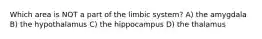 Which area is NOT a part of the limbic system? A) the amygdala B) the hypothalamus C) the hippocampus D) the thalamus