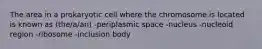 The area in a prokaryotic cell where the chromosome is located is known as (the/a/an) -periplasmic space -nucleus -nucleoid region -ribosome -inclusion body