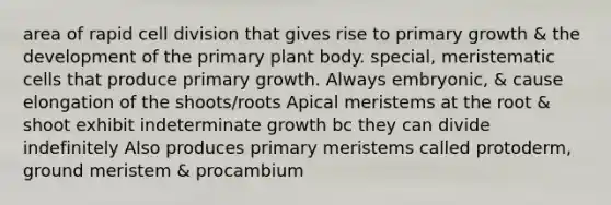 area of rapid cell division that gives rise to primary growth & the development of the primary plant body. special, meristematic cells that produce primary growth. Always embryonic, & cause elongation of the shoots/roots Apical meristems at the root & shoot exhibit indeterminate growth bc they can divide indefinitely Also produces primary meristems called protoderm, ground meristem & procambium